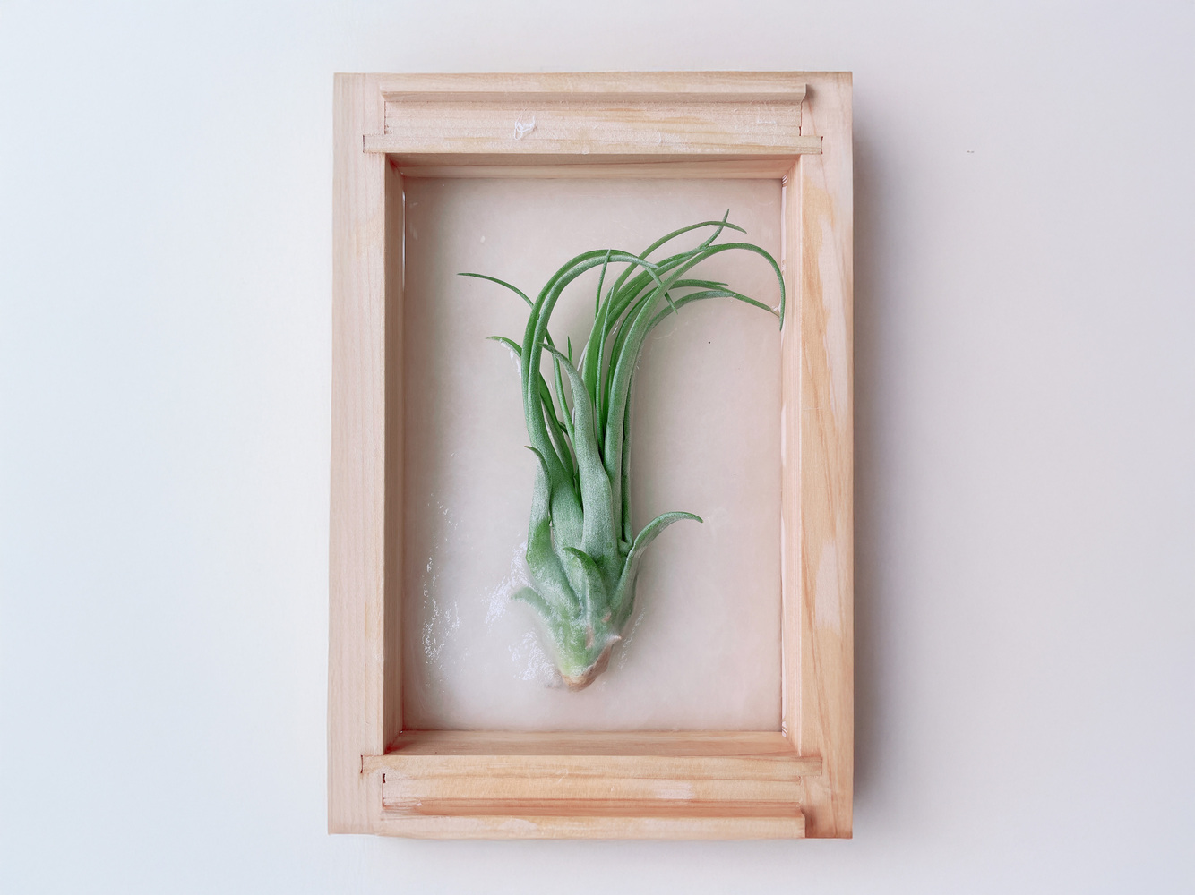 写真：ひので和紙　紙すき体験講座