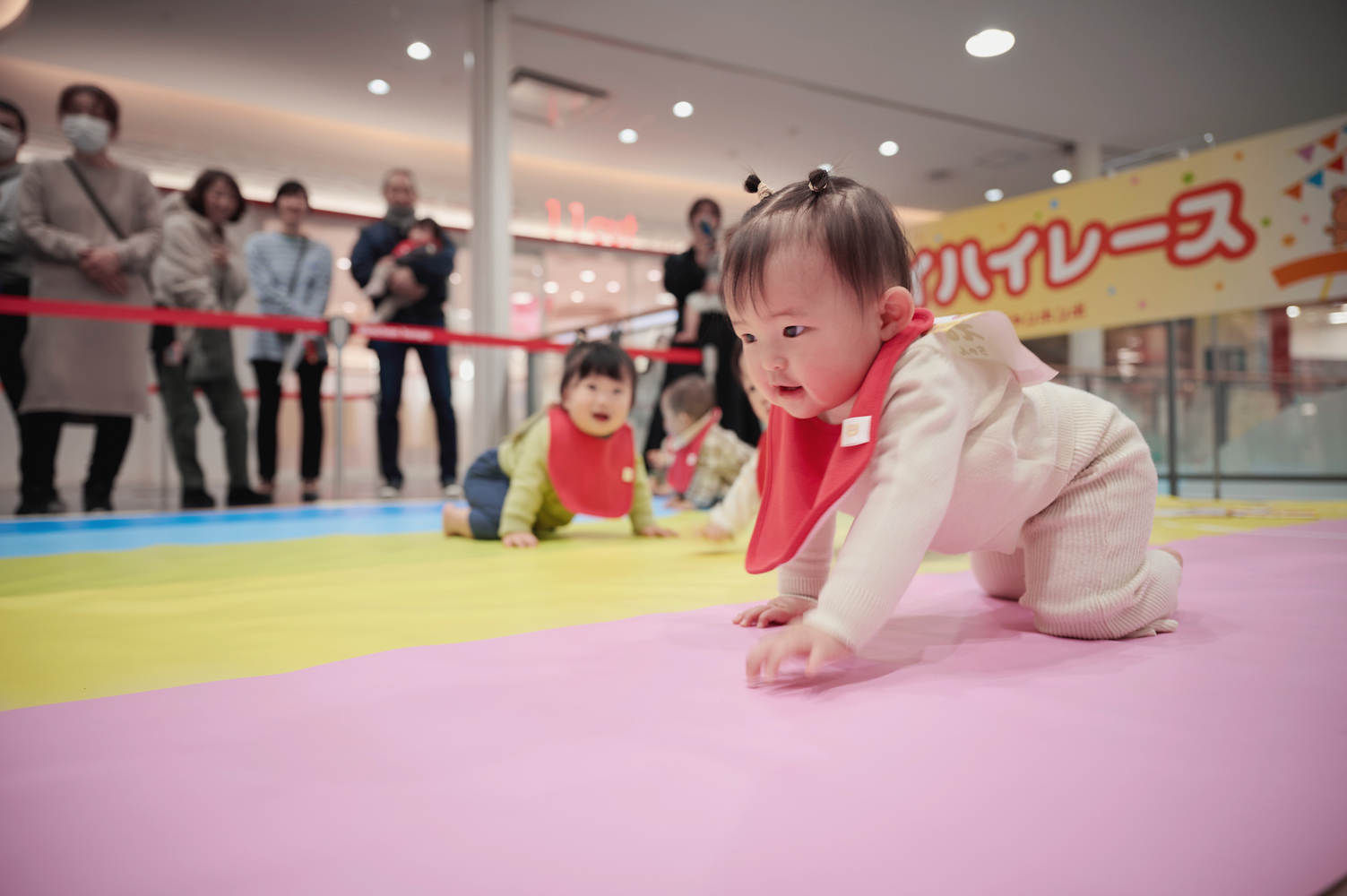 写真：アカチャンホンポ　ハイハイレース