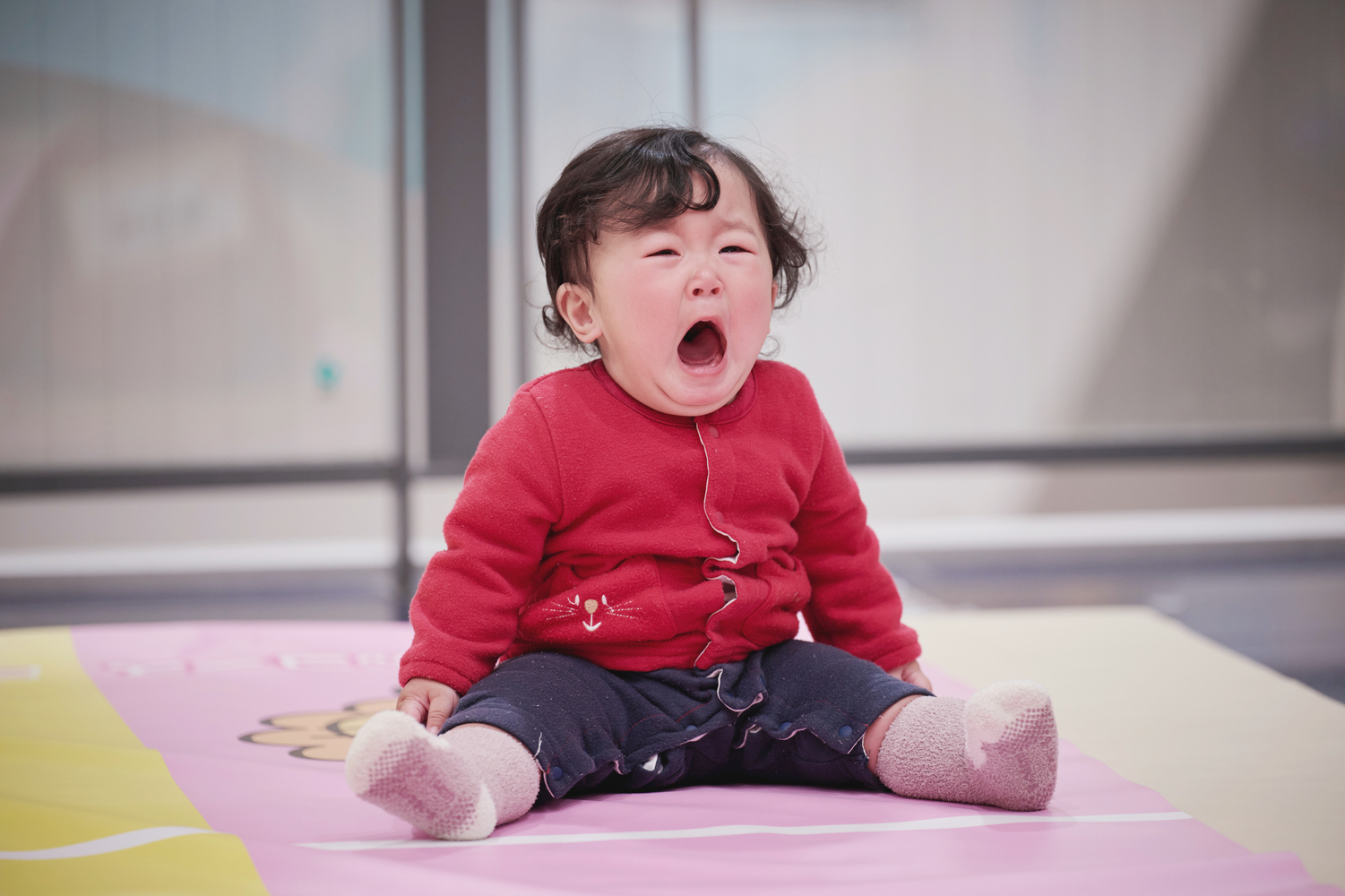 写真：アカチャンホンポ　ハイハイレース
